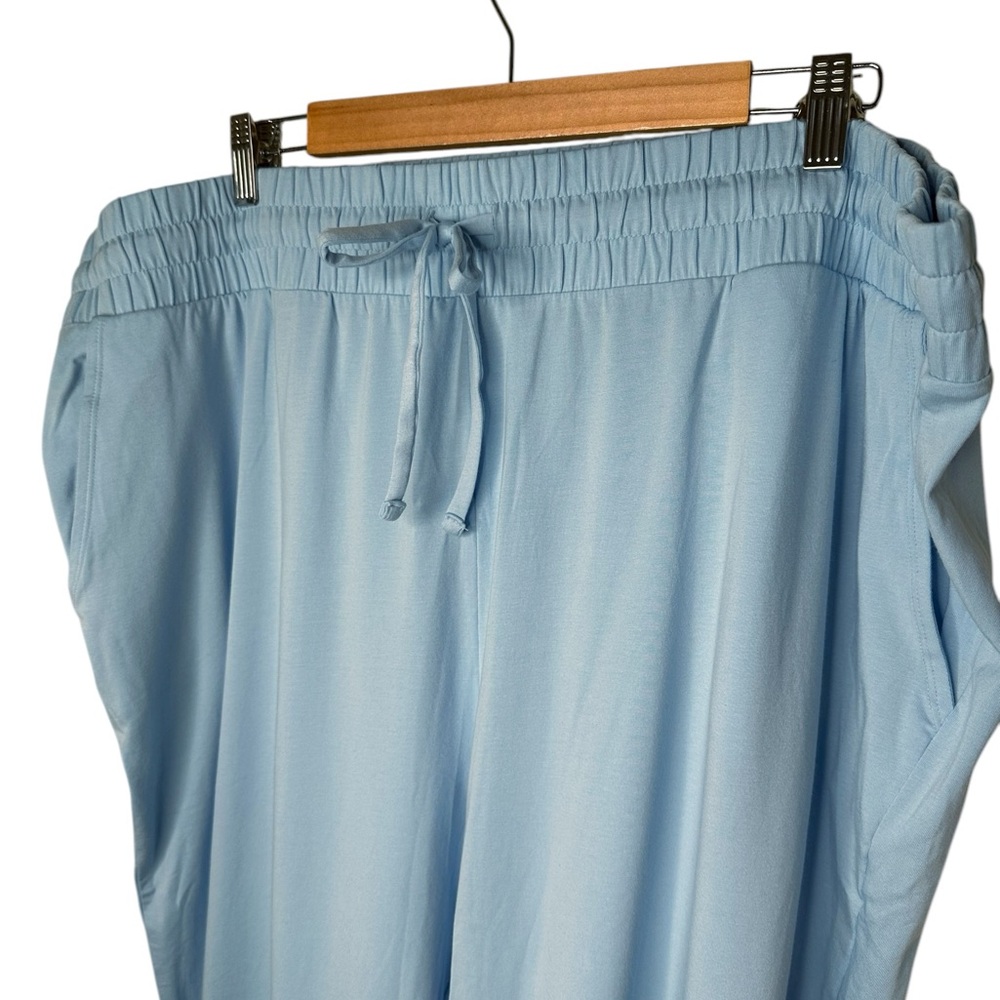 AnyBody Lounge Cozy Jersey Knit Split Cuff Joggers Size 2X Light Blue - Picture 2 of 10